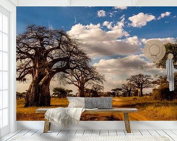 Baobab boom in Tanzania van René Holtslag