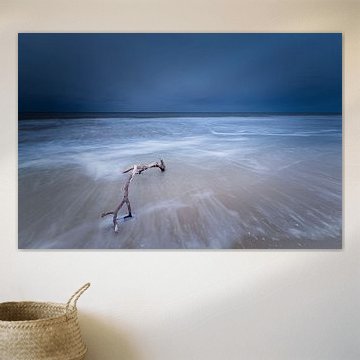 Aufgespießter Ast am Strand von peterheinspictures