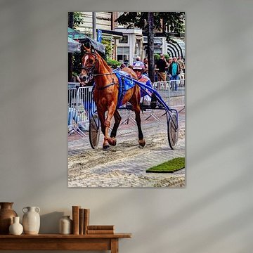 Formation courte IJmuiden Pays-Bas