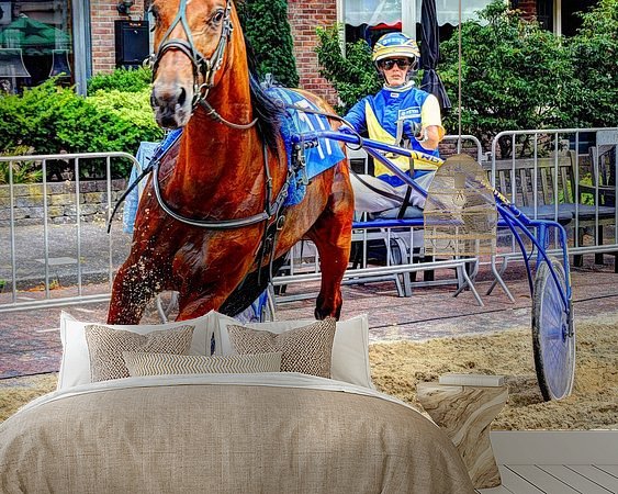 Aperçu de la chambre