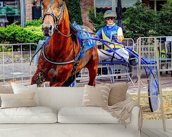 Aperçu de la chambre