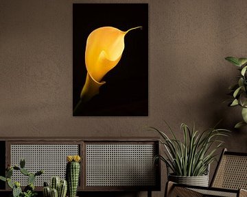 Belle fleur jaune