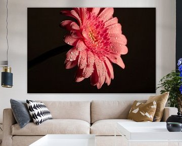 Rosa Blume von Heavenly Made Memories