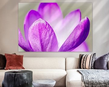 Purple beauty by Heavenly Made Memories
