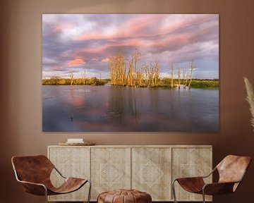 Een ochtend bij natuurgebied Tusschenwater bij Zuidlaren in de provincie Drenthe van Marga Vroom