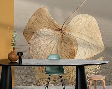 Hydrangea petal dancing on the water droplets by Marjolijn van den Berg