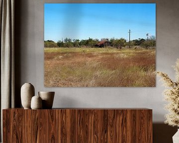 Verlaten schuur op prairie Texas van Atelier Liesjes