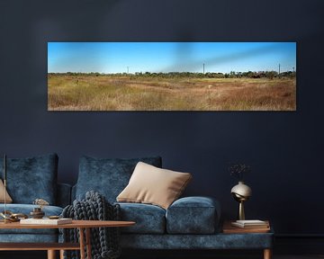 Verlaten schuur op prairie Texas van Atelier Liesjes