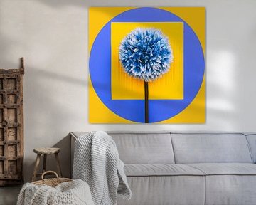 Gelb & Blau