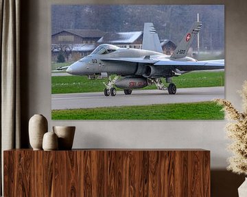 Zwitserse McDonnell Douglas F/A-18C Hornet. van Jaap van den Berg