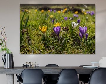 Bloemen, molshopen en bijen. van René von Hout
