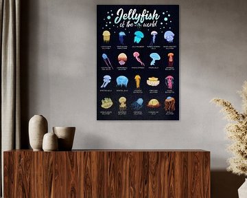 Overzicht van kwallensoorten wereldwijd met namen van Pixelbull Design