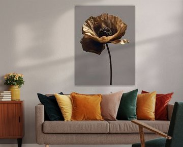 Gold dried poppie flower by On Your Wall