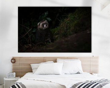 bunzing van Andy van der Steen - Fotografie