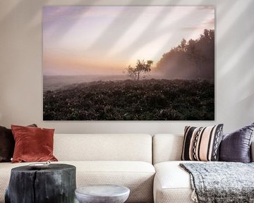 Morgendliche Moorlandschaft von Edith Albuschat