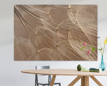 Warme Farben: Flaum aus der Natur im Licht von Marjolijn van den Berg
