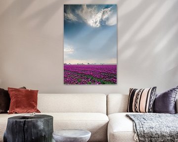 Tulpenveld by Jan Beukema