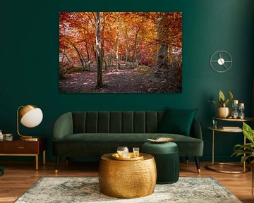 Autumn in the forest by Rietje Bulthuis