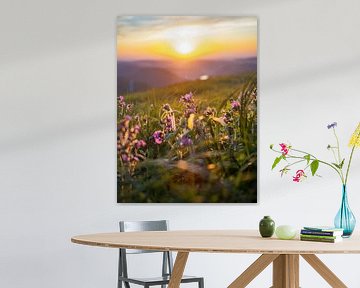 Zonsondergang vanaf de Hohneck in de Vogezen, Frankrijk