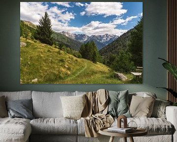 Italiaanse Alpen, Adamello groep