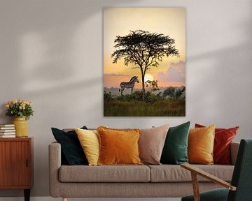 Savane africaine sur PixelPrestige