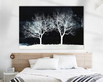 Deux arbres dans la nuit - impression d'art à l'allure rêveuse