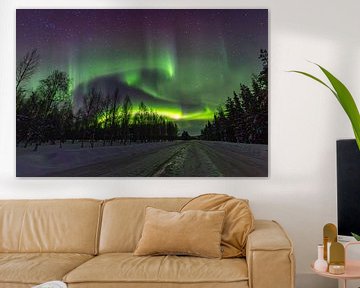 Noorderlicht boven Norrbotten - Als de hemel oplicht van Fototante