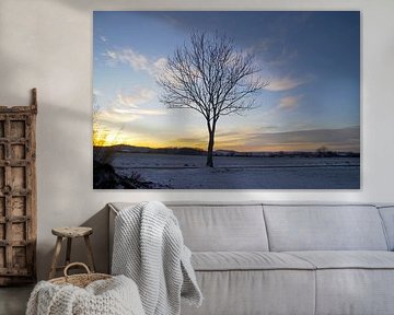 bare tree