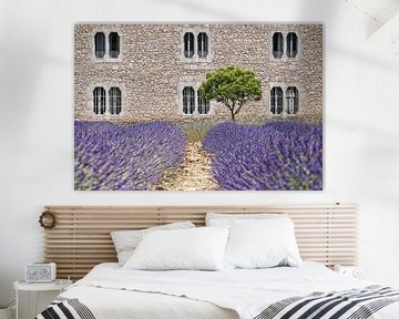 Kloster-Lavendel Provence by Joachim G. Pinkawa