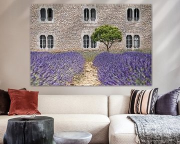 Kloster-Lavendel Provence von Joachim G. Pinkawa