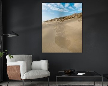 Duinen in zeeland van Hendrik Karremans