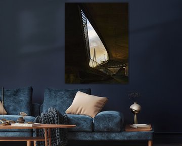 Erasmusbrug in Kader – Licht en Architectuur van Hendrik Karremans