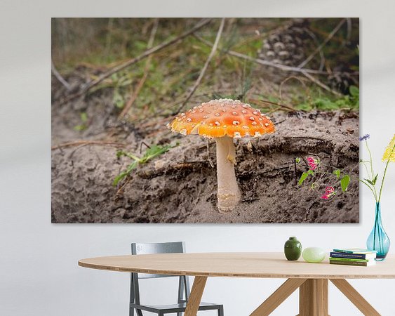 Voorbeeld van het werk in een kamer