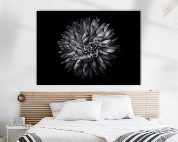 Achtertuin bloemen in zwart-wit 20 van The Learning Curve Photography