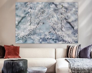 Cherry blossoms and busy bees by Dirk Wüstenhagen