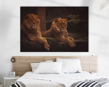 Magnificent brothers van Brenda De Voeght
