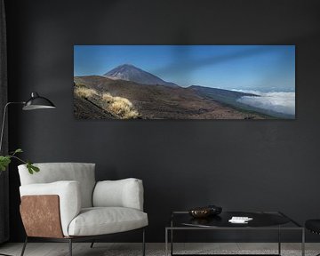 Genêt du Teide et Pico del Teide sur Walter G. Allgöwer