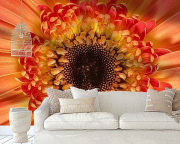 Just a colourful little flower! by Marjolijn van den Berg