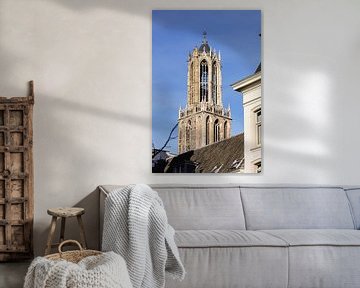 De Dom van Utrecht vanafv de Nieuwegracht gezien (kleur)