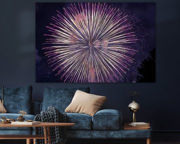 feux d'artifice au japon