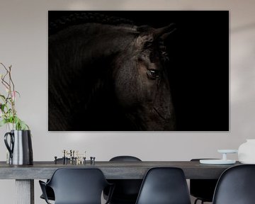 Portret fine art Fries paard