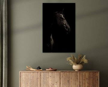 Portret fine art Fries paard