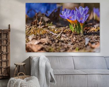 Aperçu de la chambre