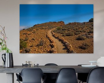 Bergpad in Teide Nationaal Park, Tenerife van Kristof Lauwers
