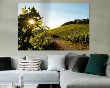 Weinfeld bei Sonnenuntergang von Berdien van Drogen