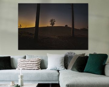 Coucher de soleil dans les dunes