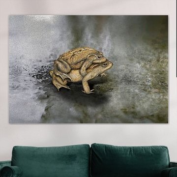 Traversée dangereuse - Migration des crapauds sur Urft Valley Art