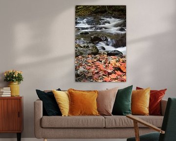 The river in autumn by Claude Laprise
