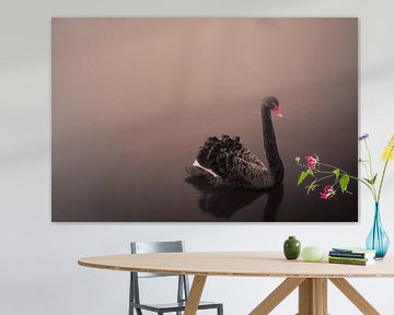 Zwarte zwaan van On Your Wall