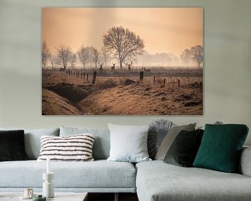 Magic of dawn - Five deer in the mist